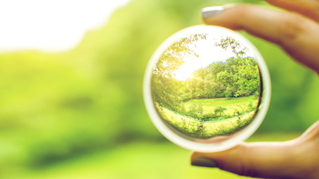 Sharp view of a meadow through a lens held up against a blurry background.